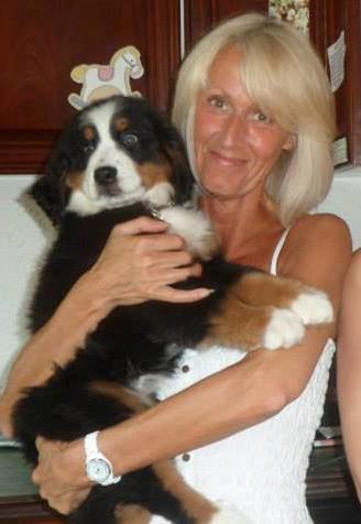 dog sitting kent, dog boarding kent