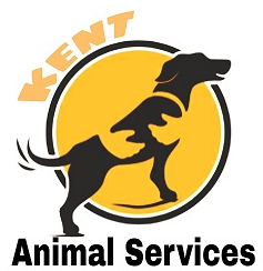 kent animal services