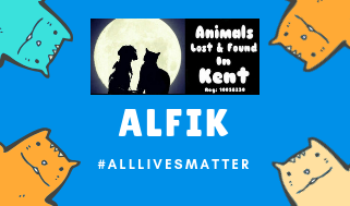 all lives matter, dog lost, cat lost, lost dog kent, lost cat kent,