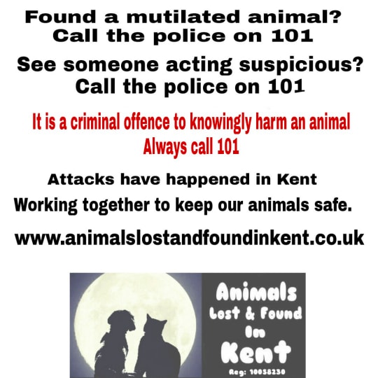 uk cat killer, operation takahe, kent cat killer, kent animal killer